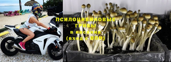 винт Иннополис